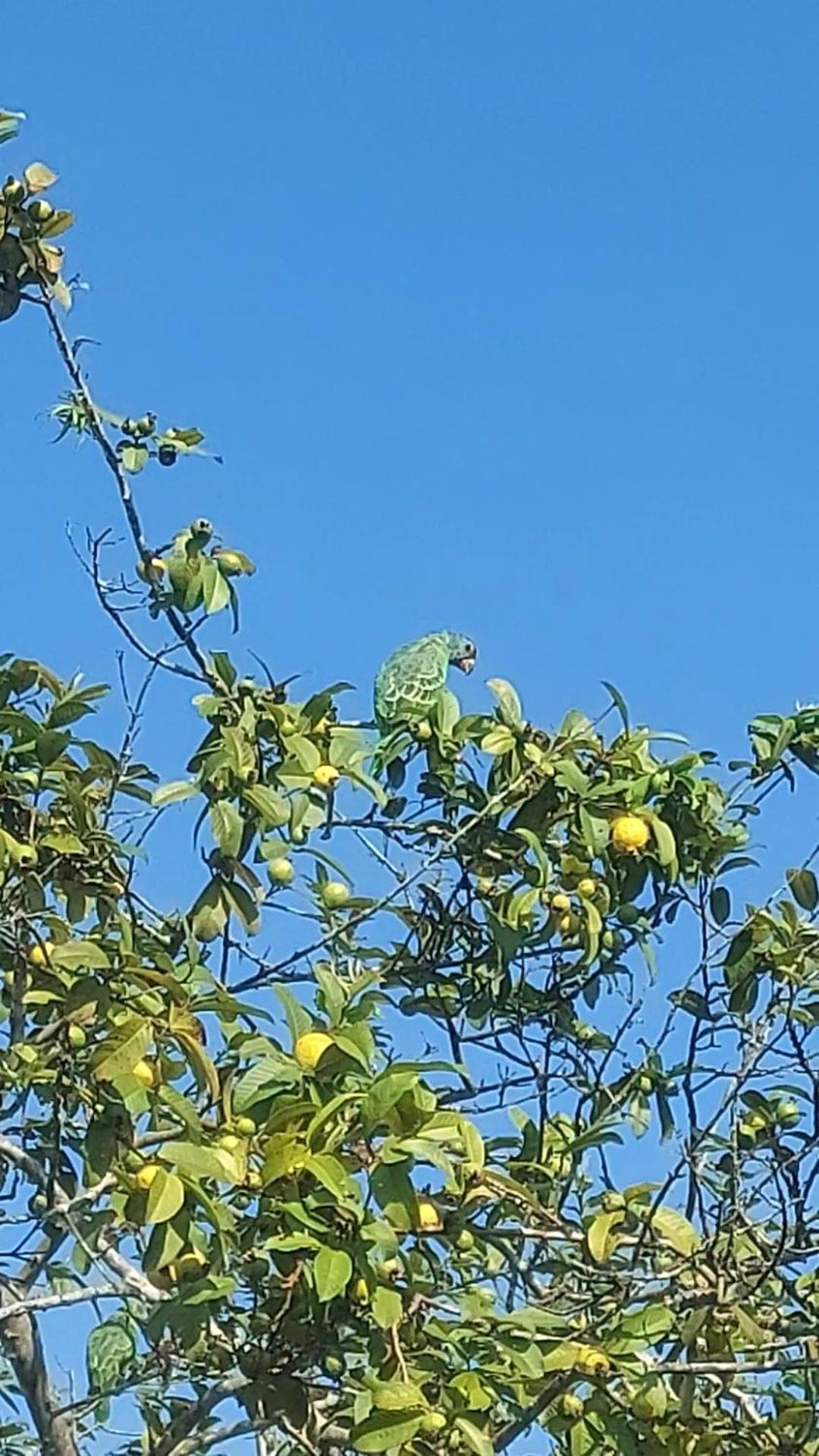 מלון Itanhaém Recanto Sao Fernando מראה חיצוני תמונה