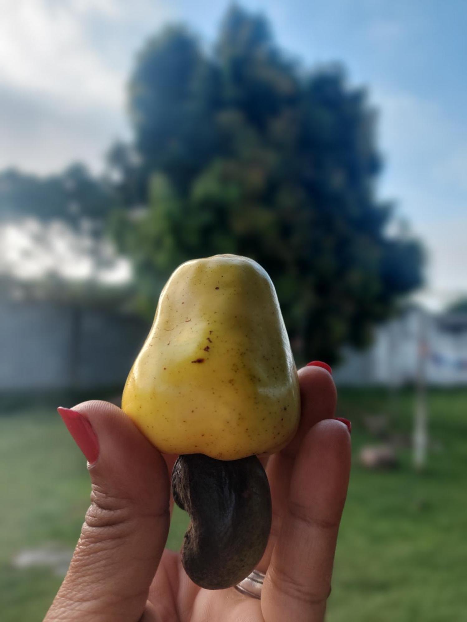 מלון Itanhaém Recanto Sao Fernando מראה חיצוני תמונה