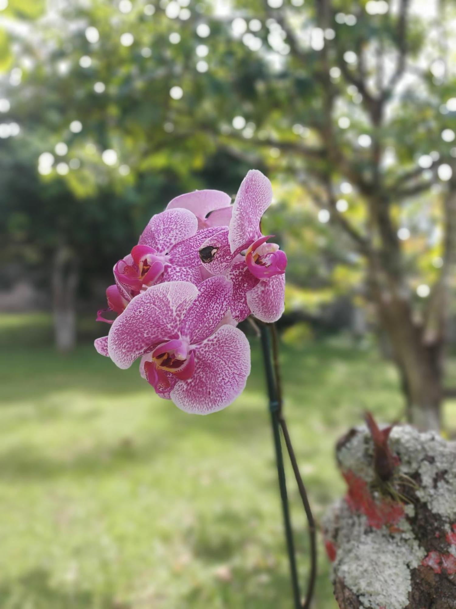 מלון Itanhaém Recanto Sao Fernando מראה חיצוני תמונה